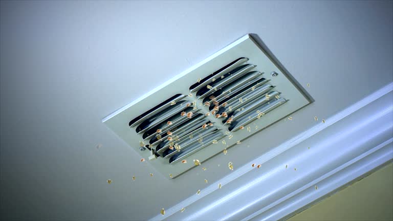 Best Air Vent Cleaning Services  in North El Monte, CA